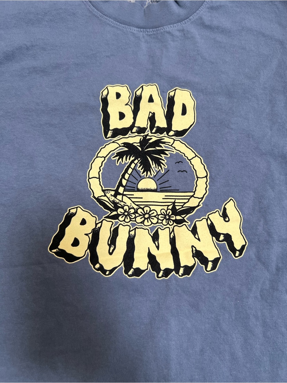 Bad Bunny Graphic Tee in Slate Blue with Yellow Print